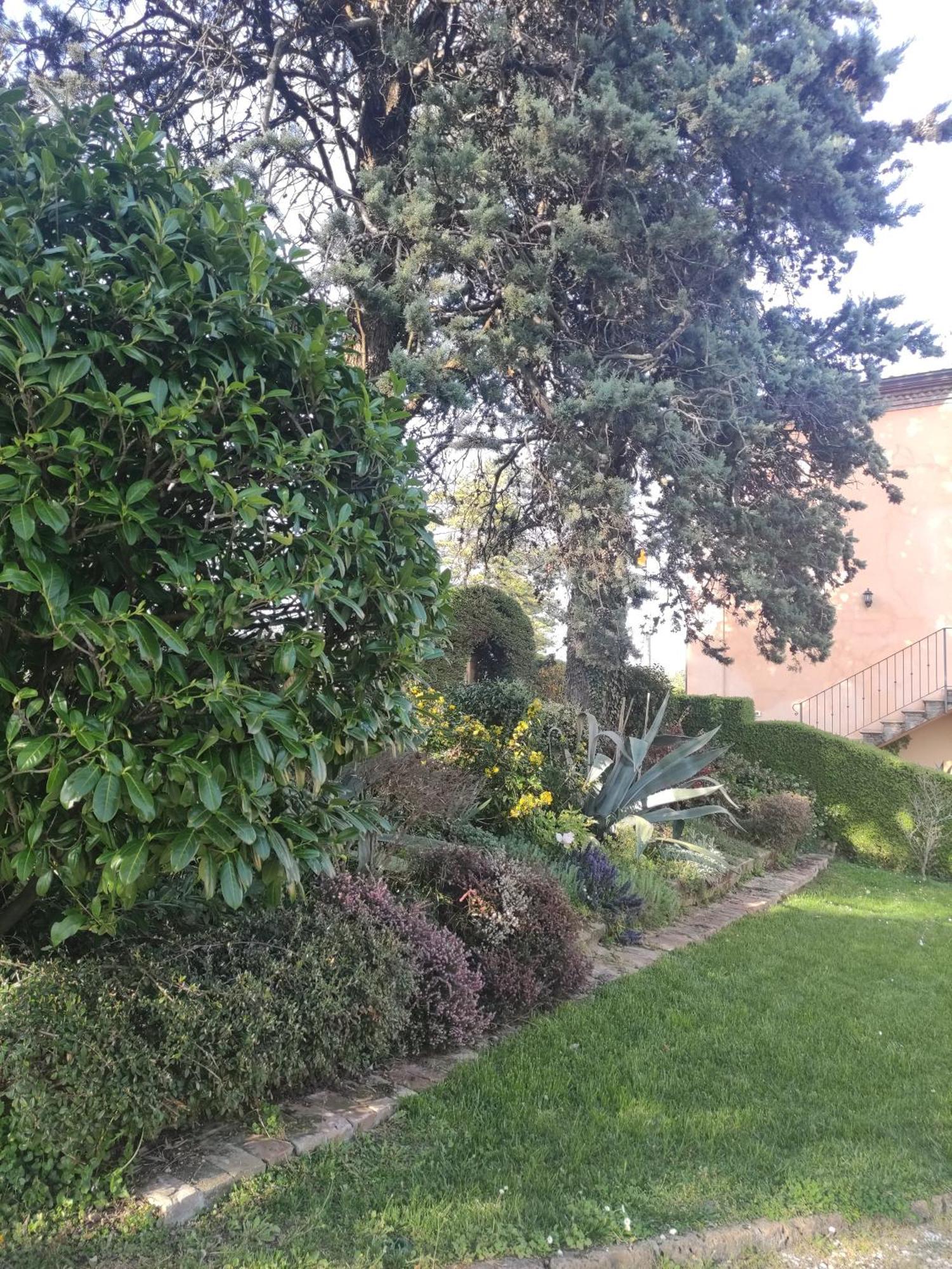 La Pergola Bed & Breakfast Becedasco Exterior photo